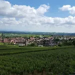 Gaestehaus Gerhardt Rum i privatbostad Schweigen-Rechtenbach