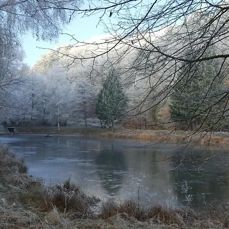 Gaestehaus Gerhardt Schweigen-Rechtenbach