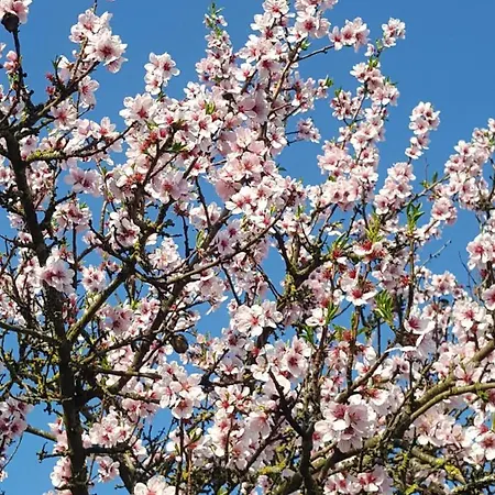 홈스테이 Gaestehaus Gerhardt