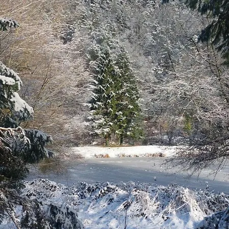 Gastehaus Gerhardt Homestay Schweigen-Rechtenbach