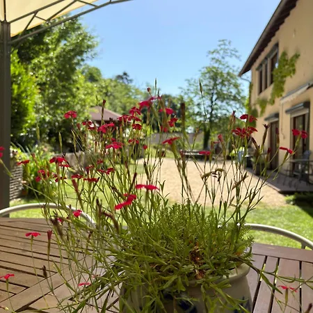 Gastehaus Gerhardt Schweigen-Rechtenbach