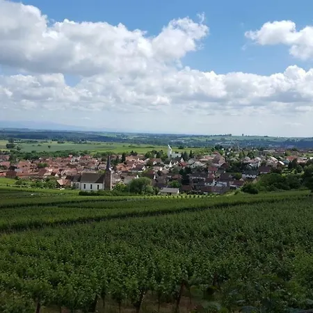 Gastehaus Gerhardt Homestay Schweigen-Rechtenbach