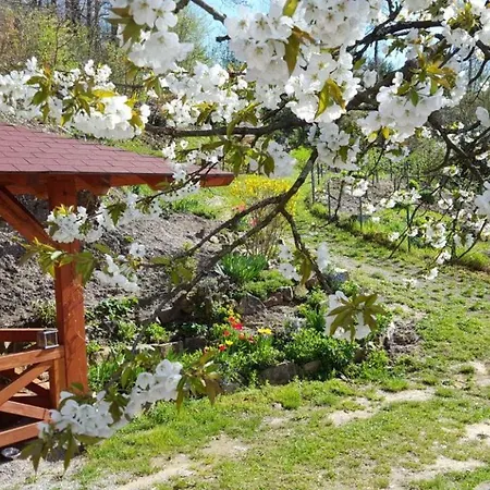 Gaestehaus Gerhardt Schweigen-Rechtenbach