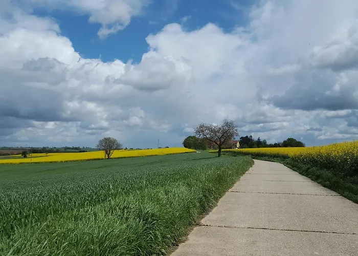 Gerhardt Schweigen-Rechtenbach