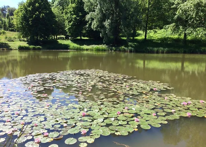 בית אירוח Gaestehaus Gerhardt *