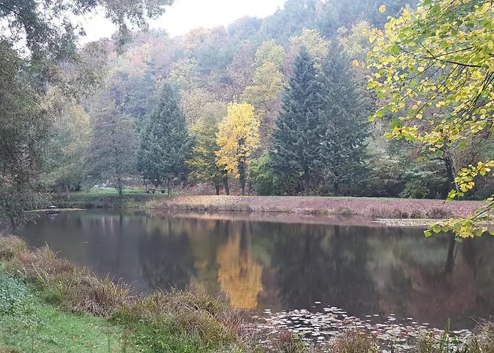 Gerhardt Schweigen-Rechtenbach