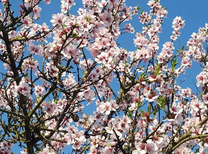 בית אירוח Gaestehaus Gerhardt