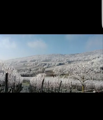 Gaestehaus Gerhardt *