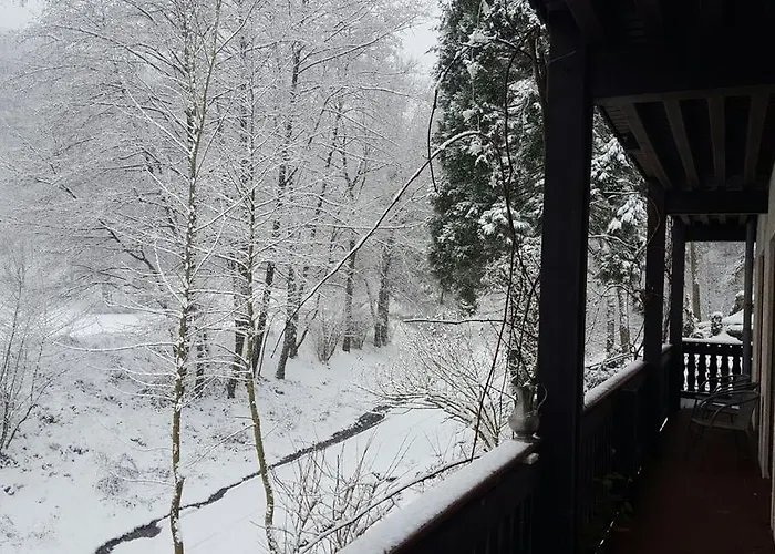 Gaestehaus Gerhardt Pansiyon *