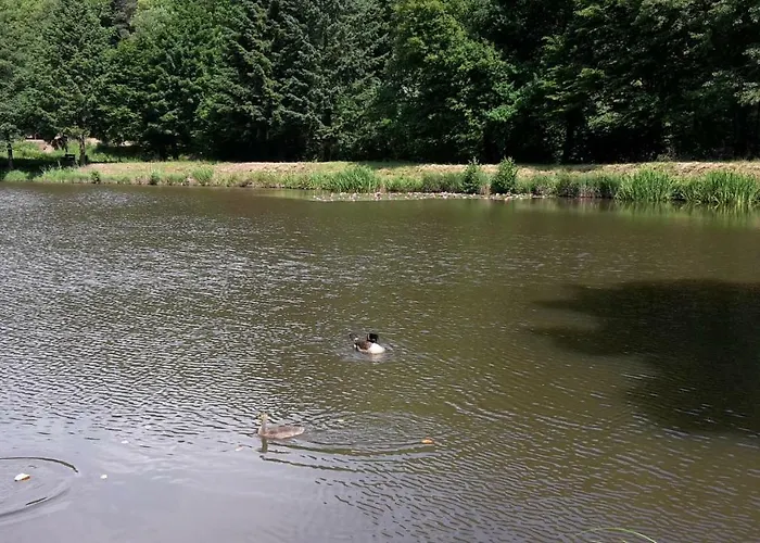 Gaestehaus Gerhardt שווייגן-רכטנבאך