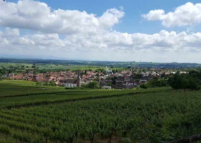 Gaestehaus Gerhardt Pansiyon Schweigen-Rechtenbach