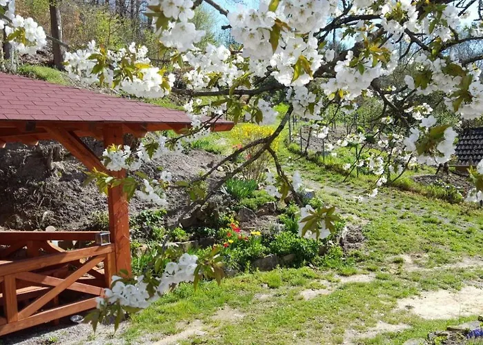 Gaestehaus Gerhardt שווייגן-רכטנבאך